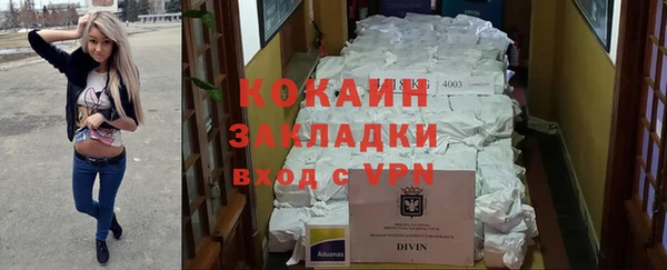 индика Абинск