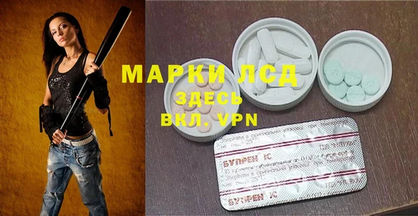 индика Абинск