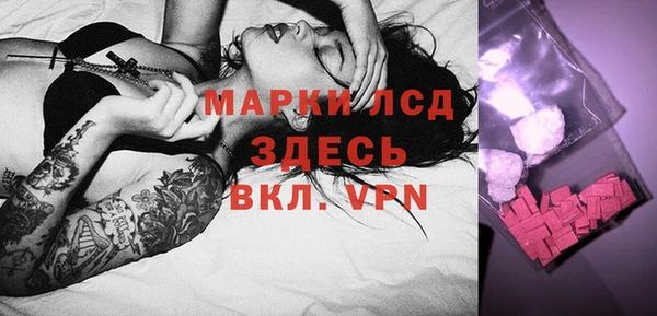 индика Абинск