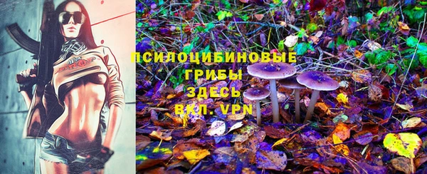 индика Абинск